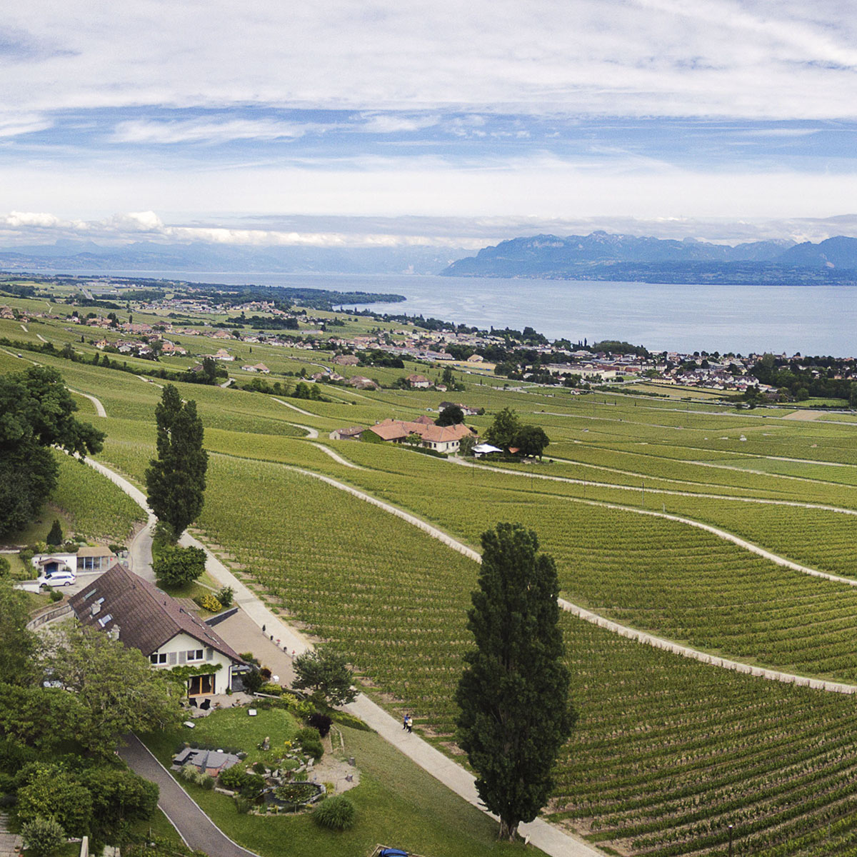 Sa vue sur le Léman