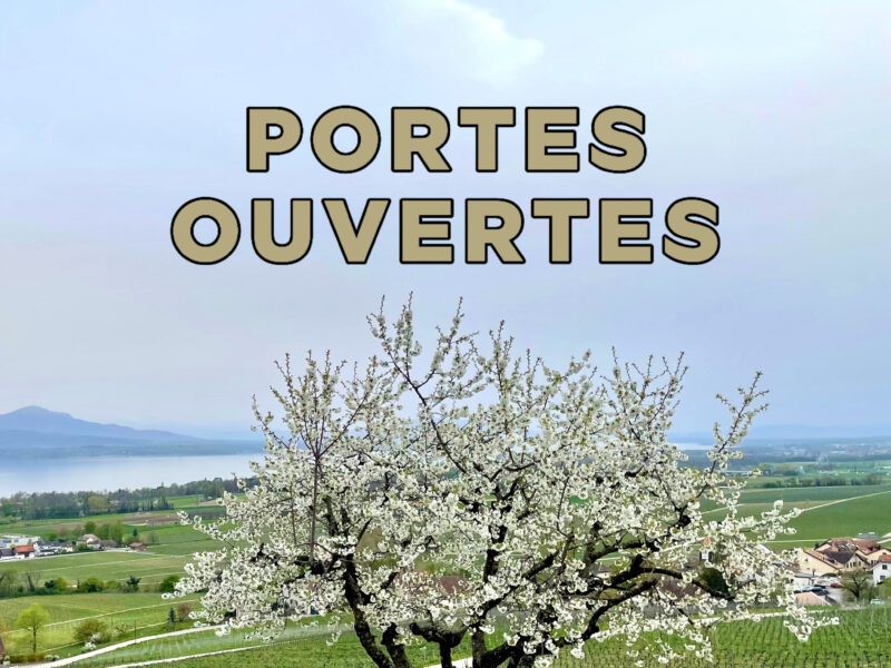 PORTES OUVERTES