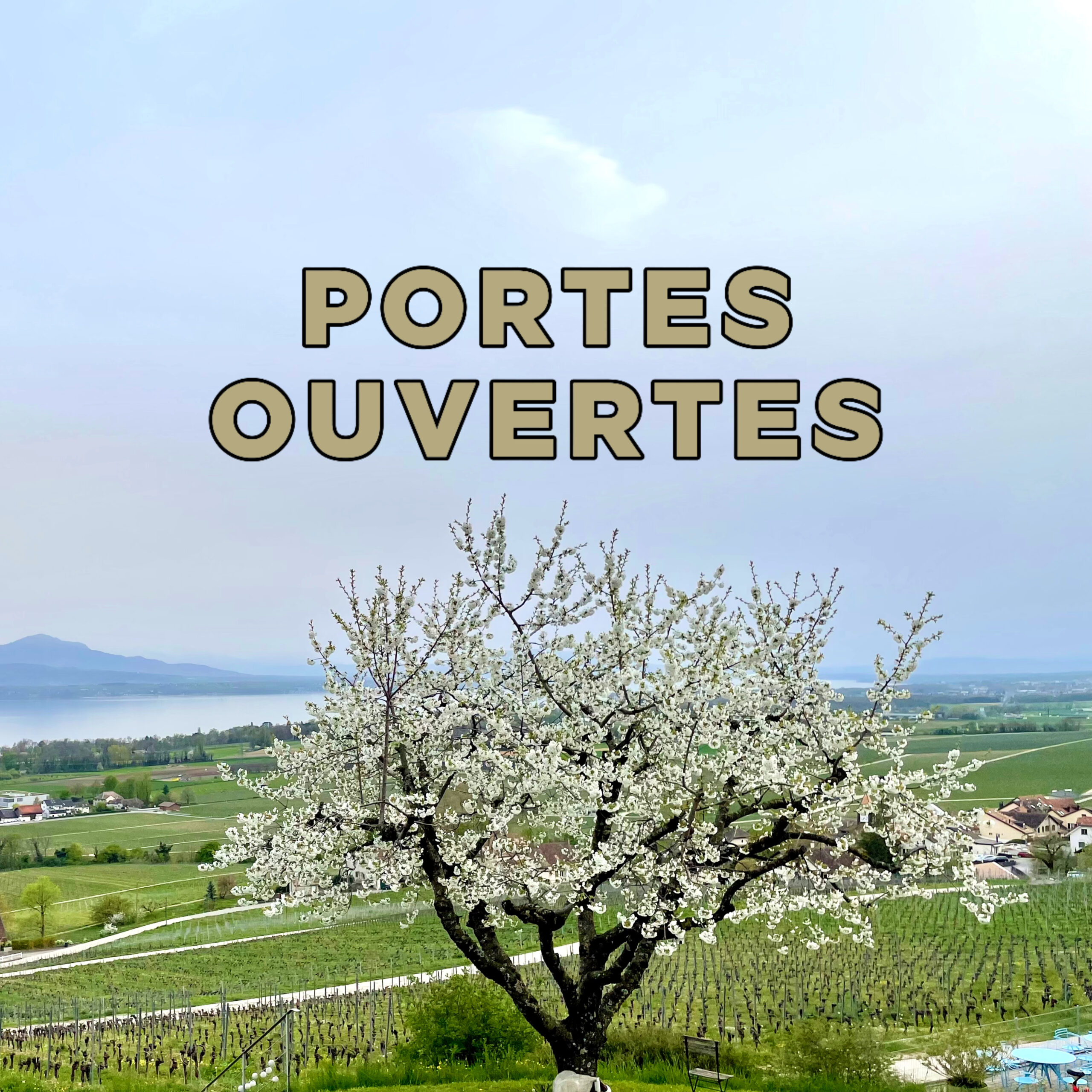 PORTES OUVERTES